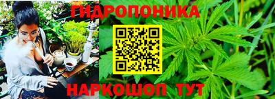 шишки Славянск-на-Кубани