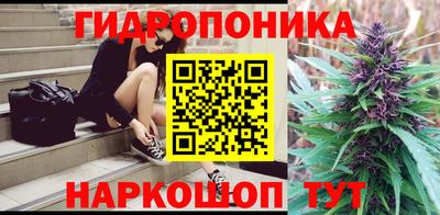 твердый Сланцы