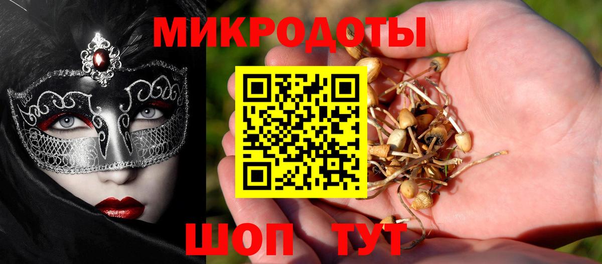 Псилоцибиновые грибы Cubensis  Псилоцибиновые грибы мицелий  Таганрог  Вход с VPN 